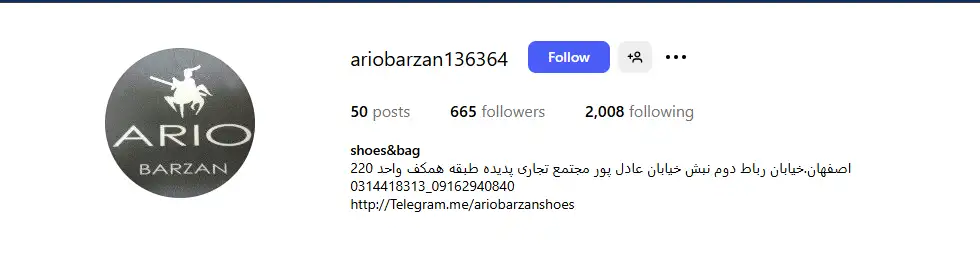 کفش فروشی آریو برزن در اصفهان