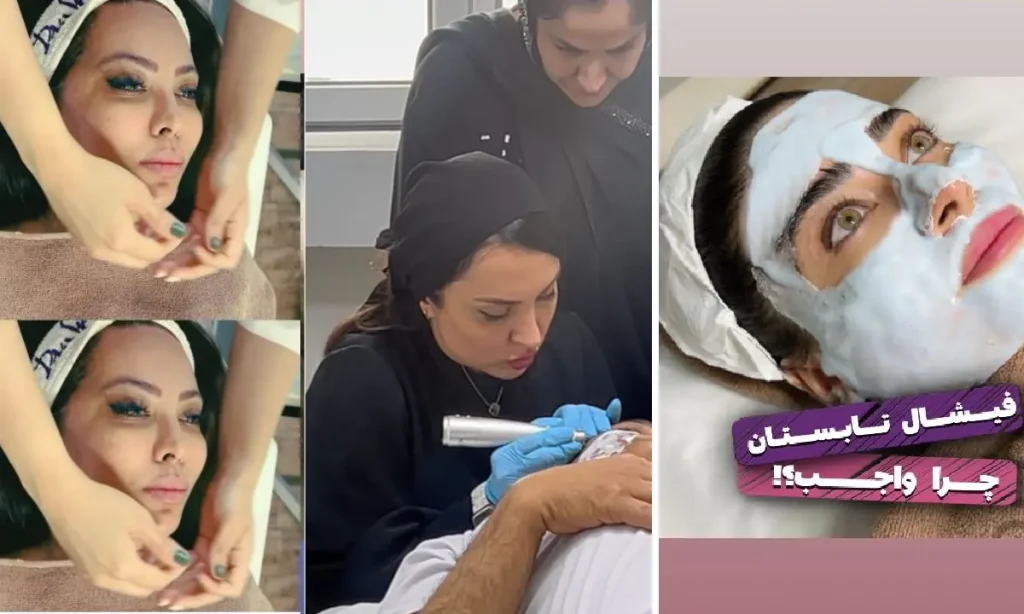 نمونه کار شکیبا شاهمندی