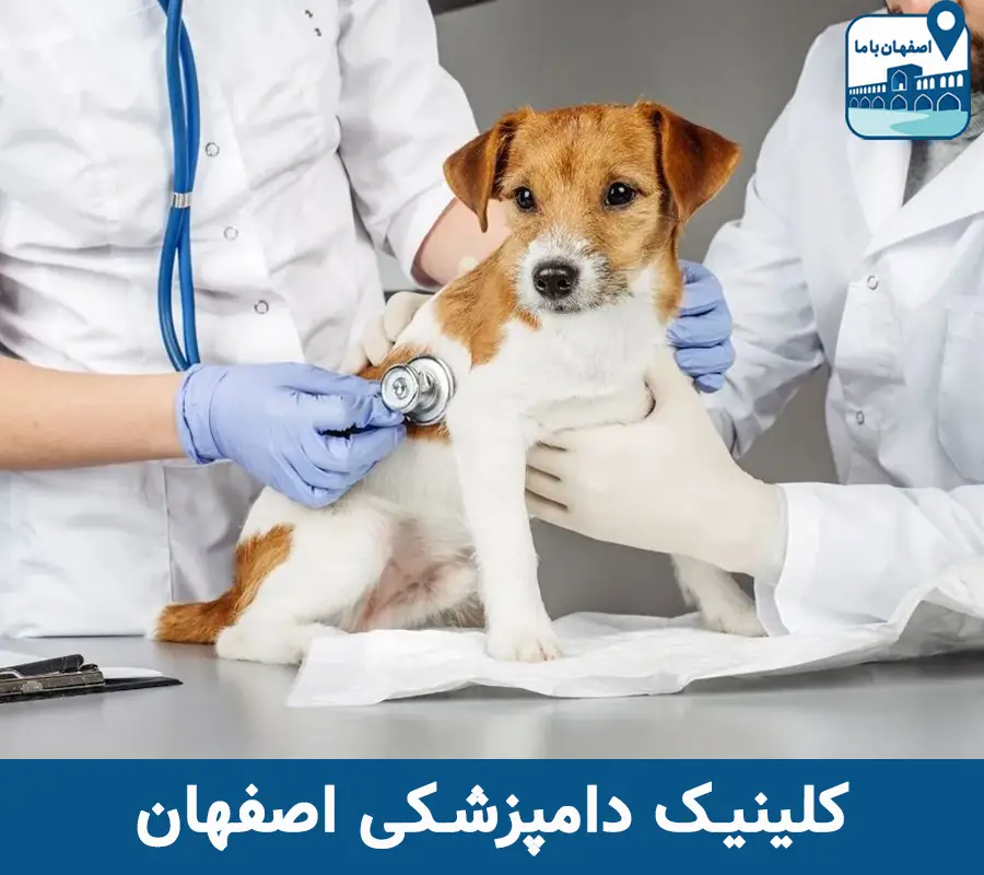 کلینیک دامپزشکی اصفهان